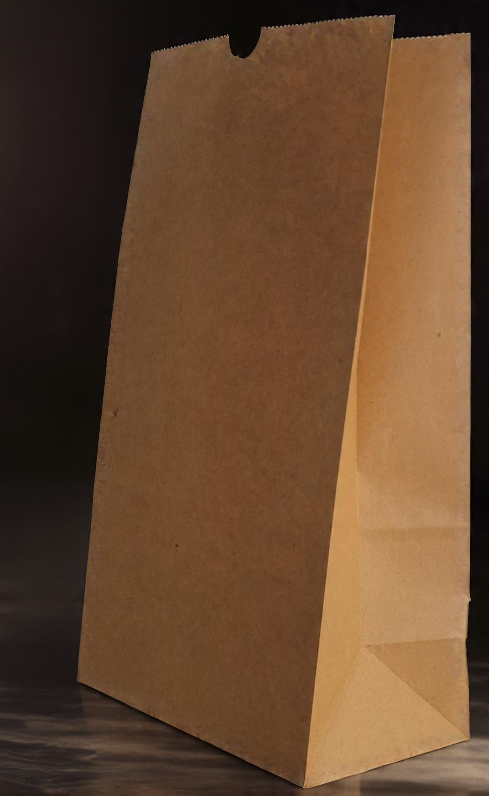 SOS #12 Brown Kraft 50 GSM MF Plain (330 x 180 x 110)